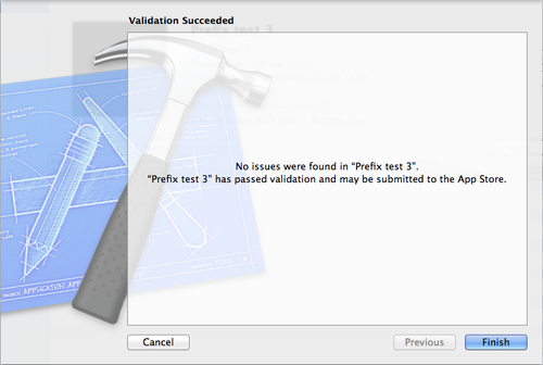 App Store validation result